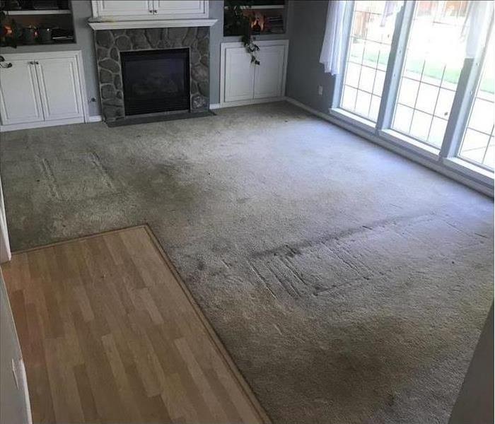 Carpet with water and mold damage