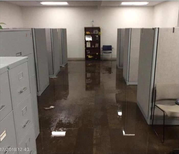 Water damaged office space with file cabinets 